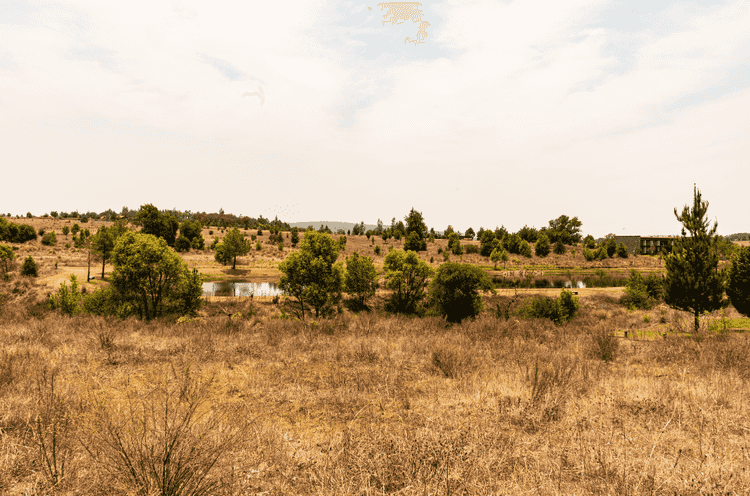 terreno en venta los reflejos los espinos tapalpa jalisco pgvmkLF